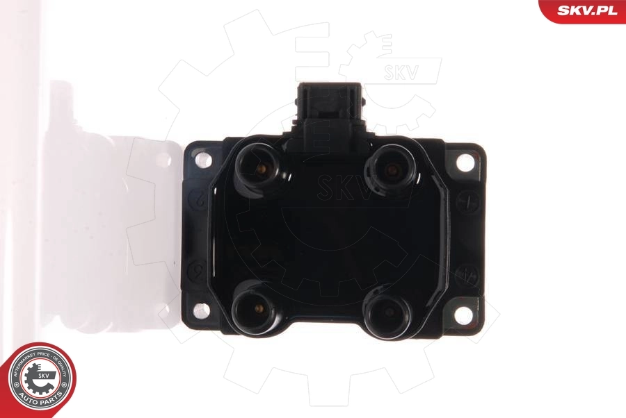 Ignition Coil 03SKV010