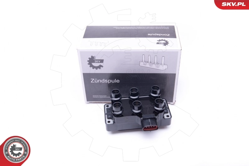 Ignition Coil 03SKV252