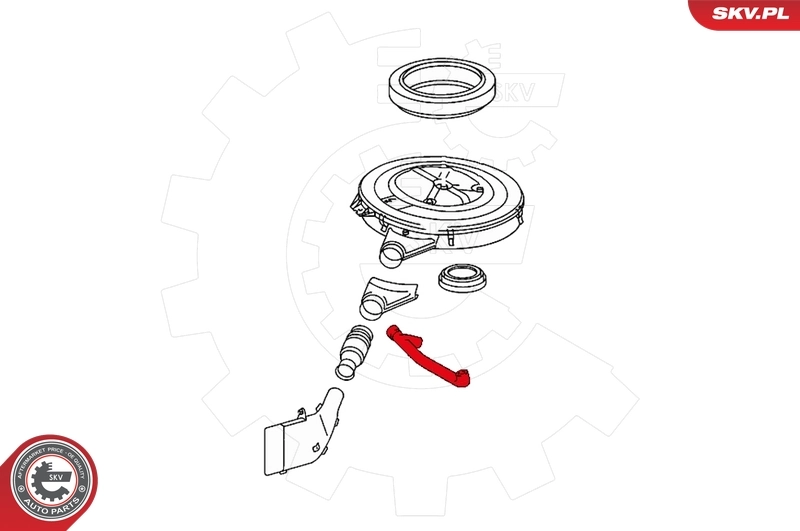 Hose, crankcase ventilation 31SKV113