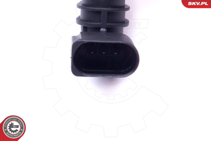 Sensor, camshaft position 17SKV490