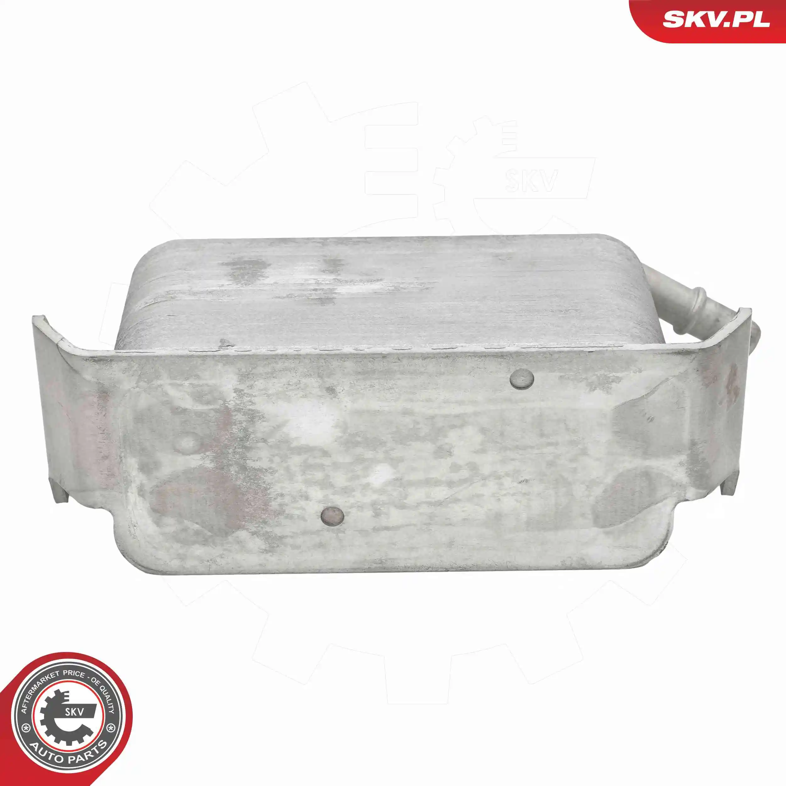 Oil Cooler, engine oil 31SKV372