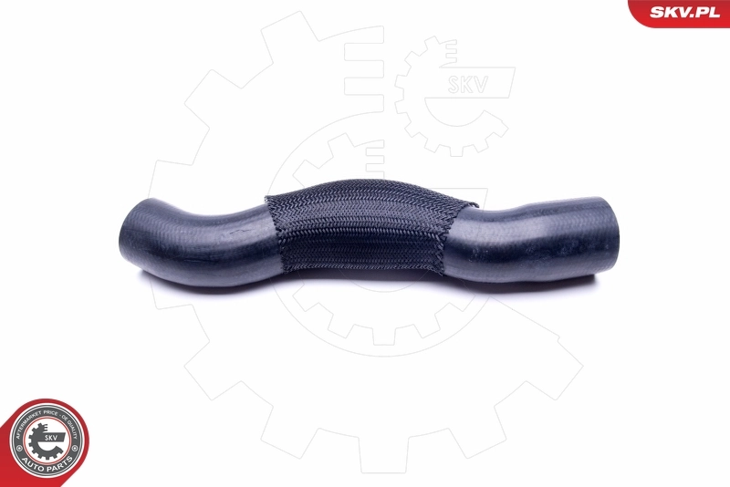 Charge Air Hose 43SKV168