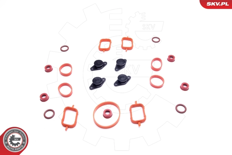 ESEN SKV 49SKV563 Repair Kit, intake manifold module