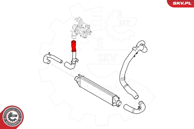Charge Air Hose 24SKV581