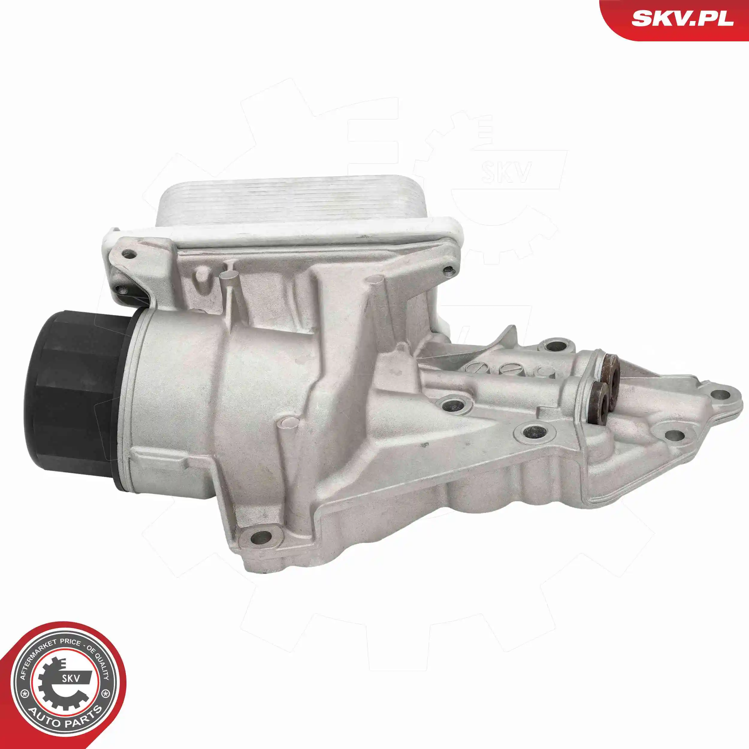 Oil Cooler, engine oil 31SKV324