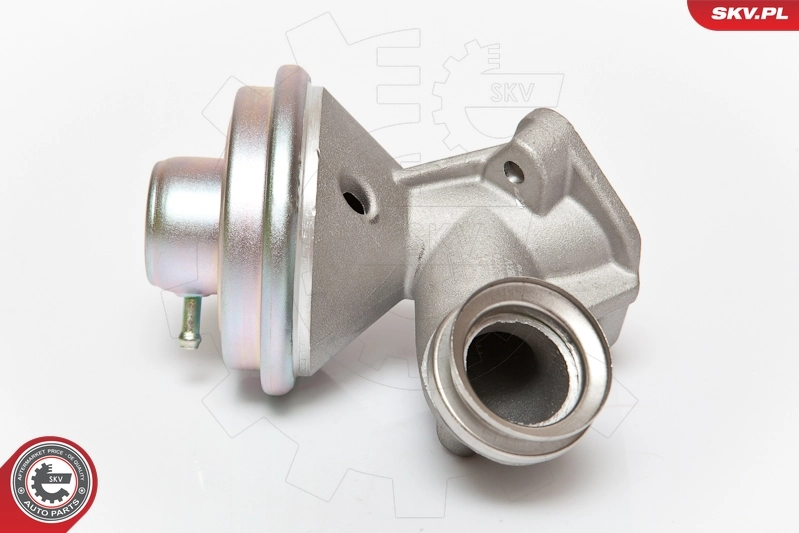 EGR Valve 14SKV075