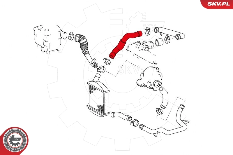 Charge Air Hose 24SKV601