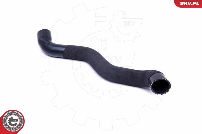 Charge Air Hose 43SKV353