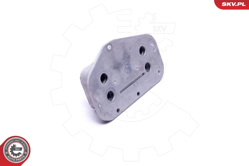 Oil Cooler, engine oil 31SKV231