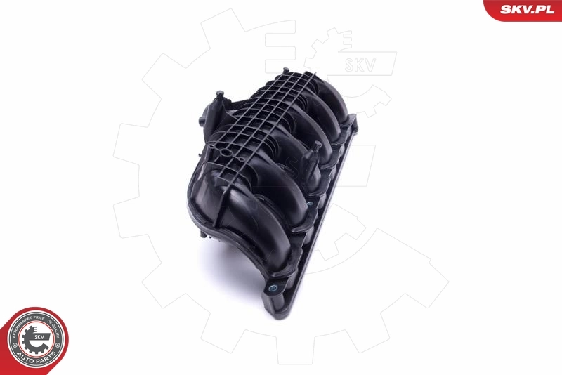 Intake Manifold Module 49SKV064