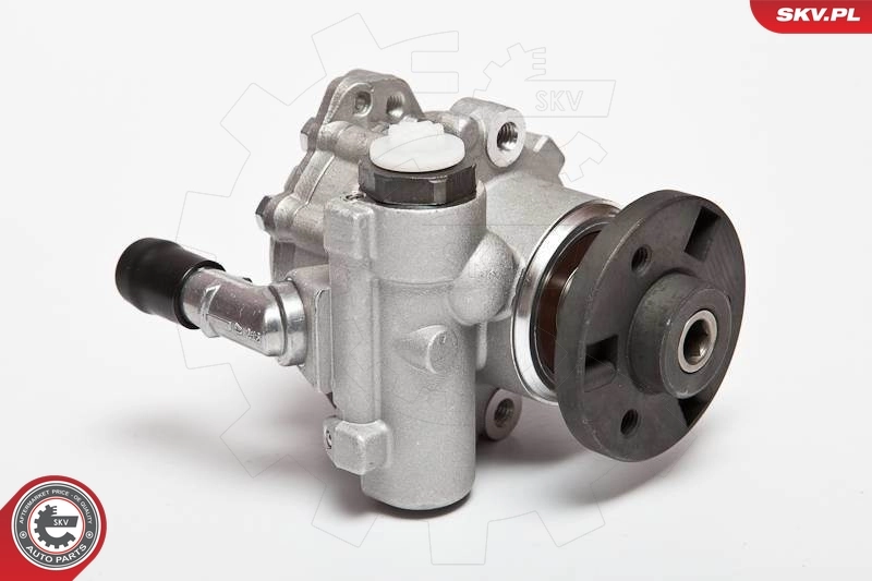 Hydraulic Pump, steering 10SKV123