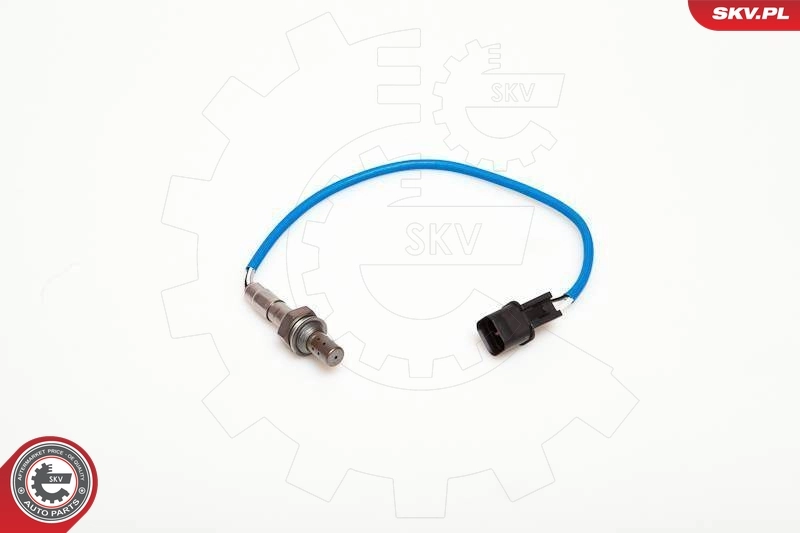Oxygen Sensor 09SKV024