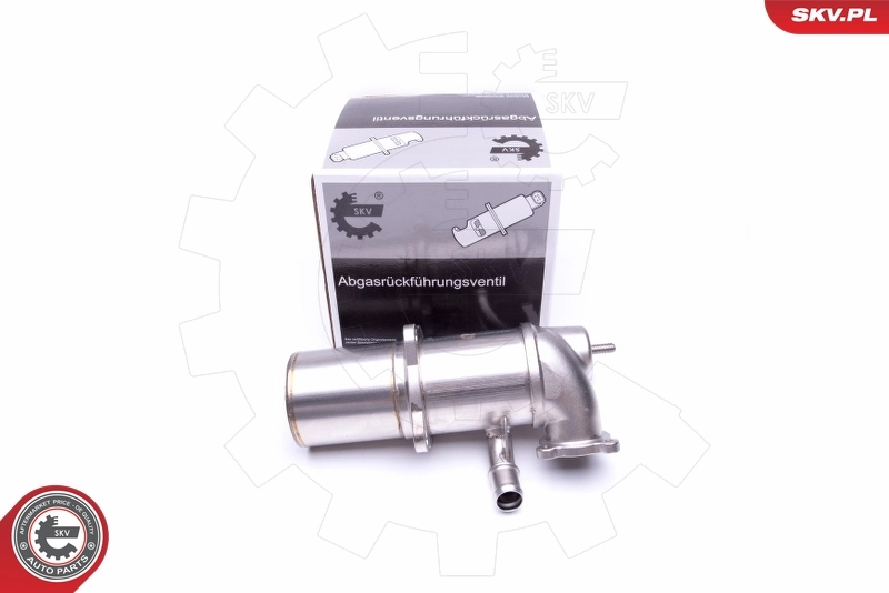 EGR Valve 14SKV222