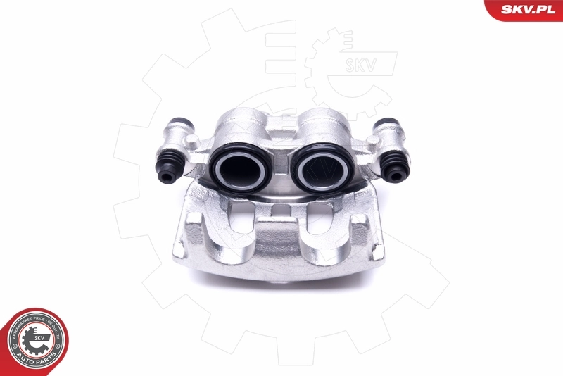 Brake Caliper 50SKV122
