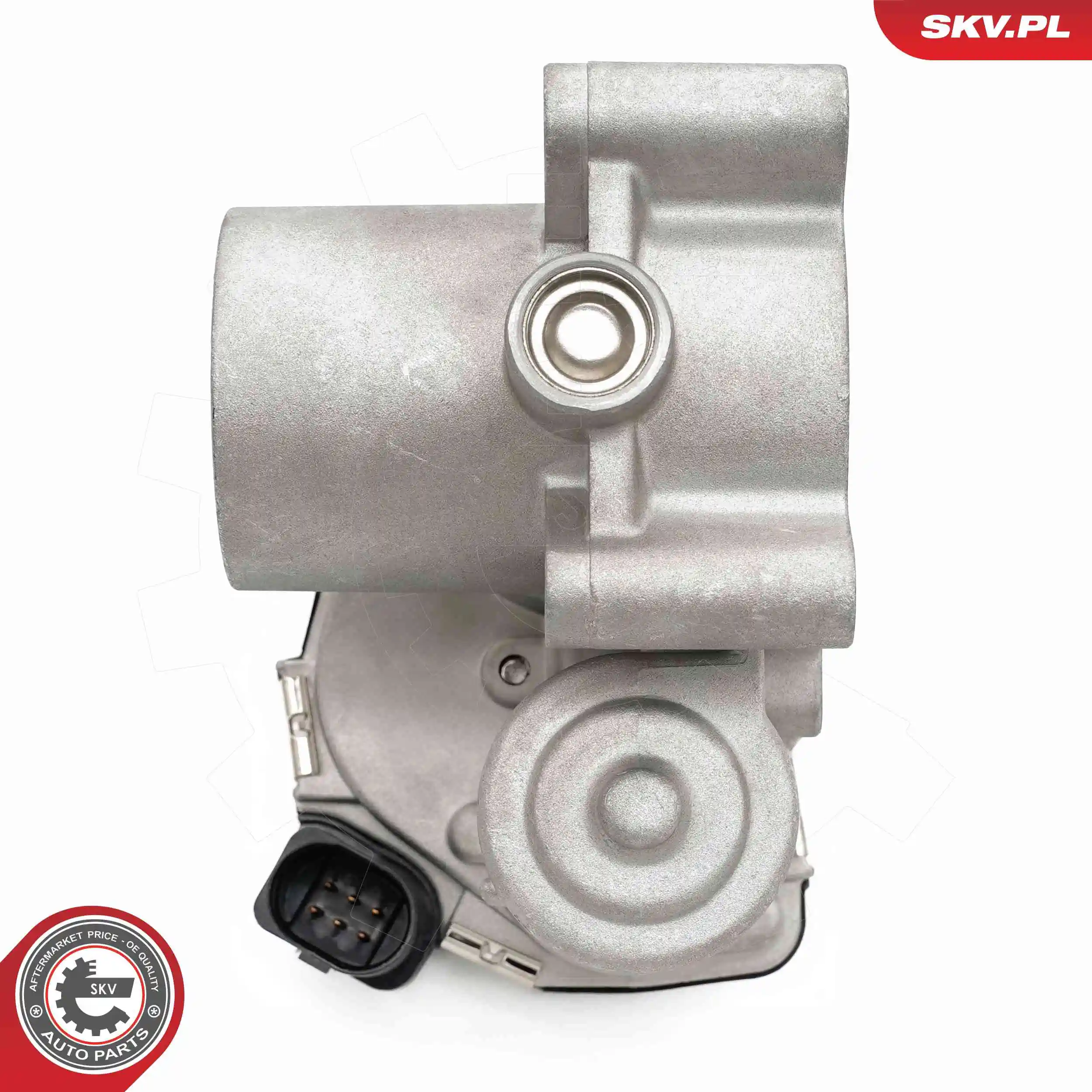 Throttle Body 12SKV144