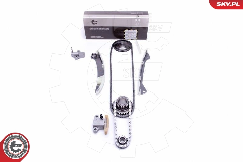 Timing Chain Kit 21SKV125