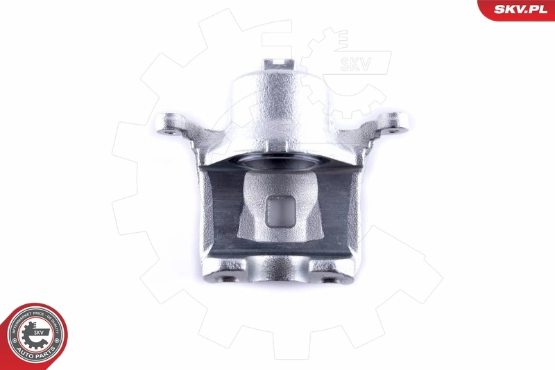 Brake Caliper 55SKV062