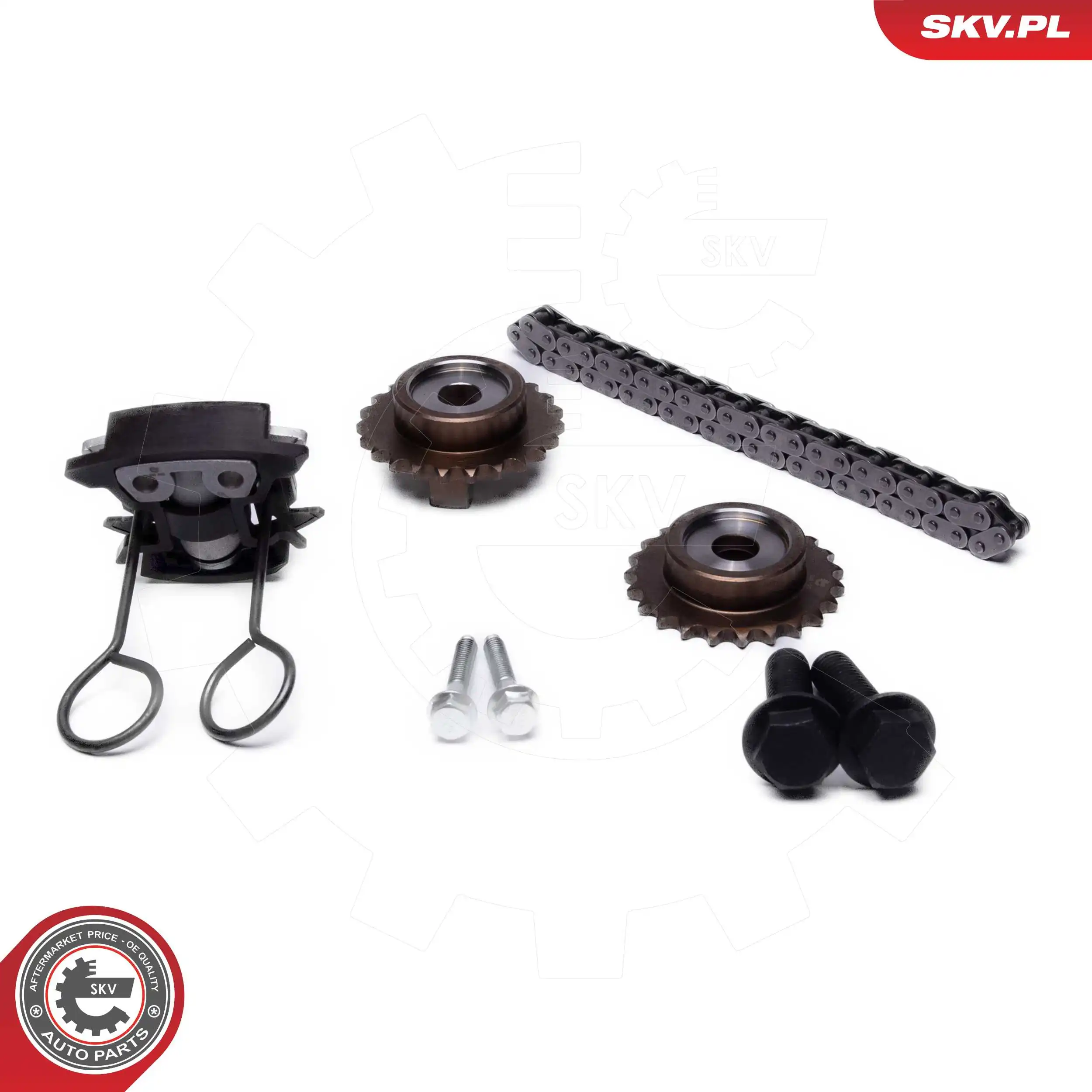 Timing Chain Kit 21SKV255