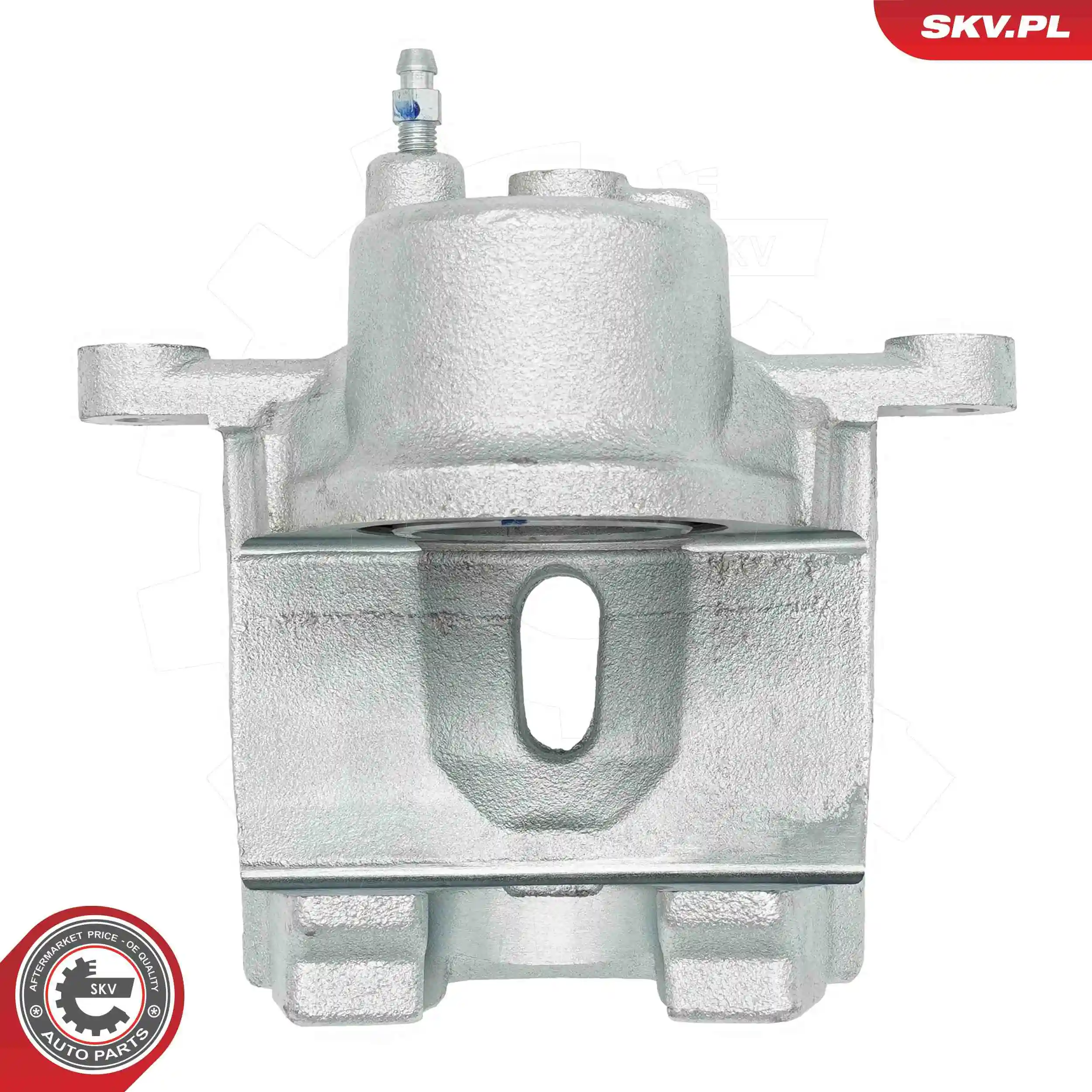Brake Caliper 74SKV971