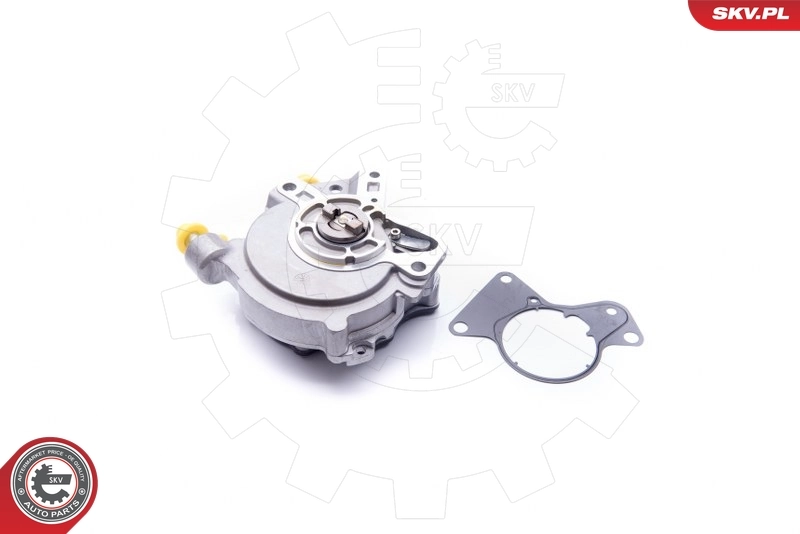 Vacuum Pump, braking system 18SKV018