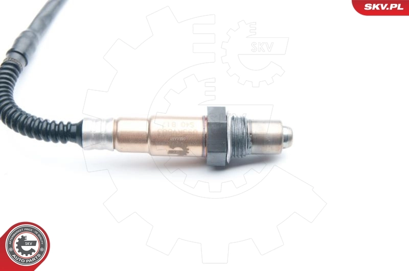 Oxygen Sensor 09SKV863