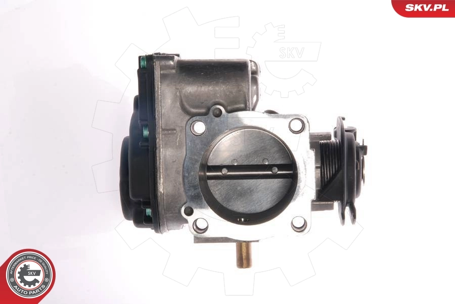 Throttle Body 12SKV022