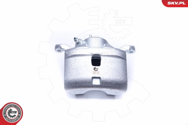 Brake Caliper 42SKV201