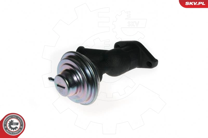 EGR Valve 14SKV077