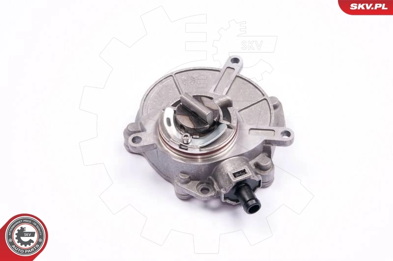 Vacuum Pump, braking system 18SKV017