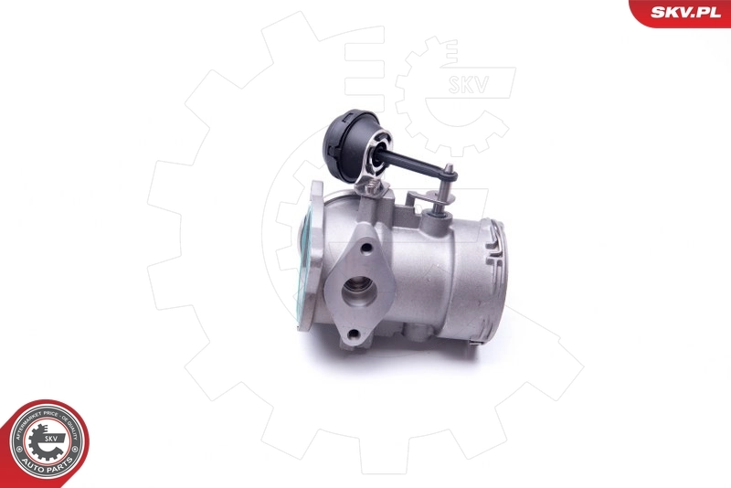EGR Valve 14SKV091