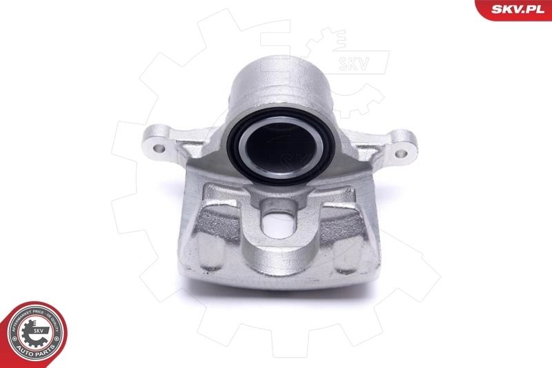 Brake Caliper 46SKV831