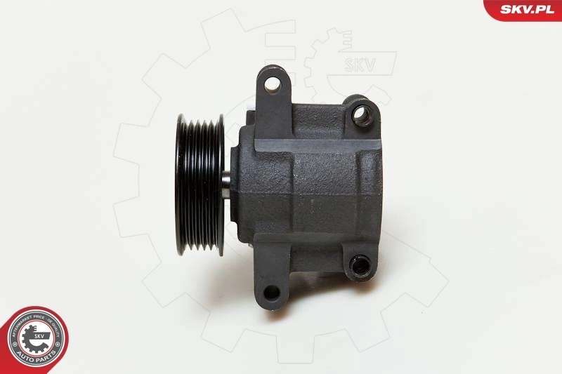 Hydraulic Pump, steering 10SKV035