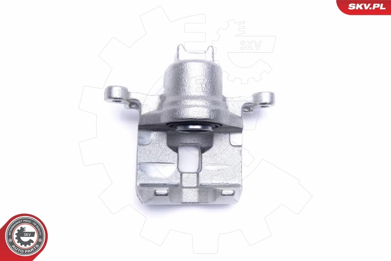 ESEN SKV 55SKV554 Brake Caliper