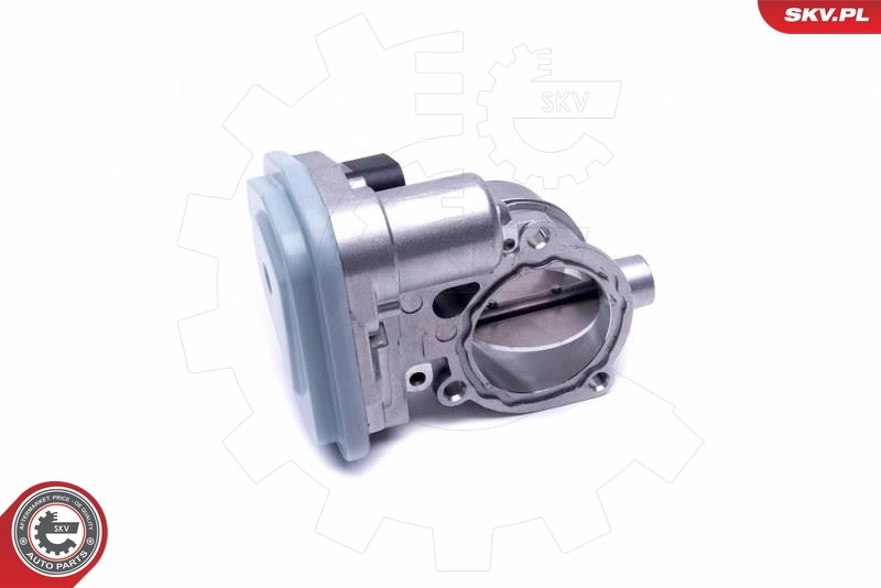 Throttle Body 12SKV094