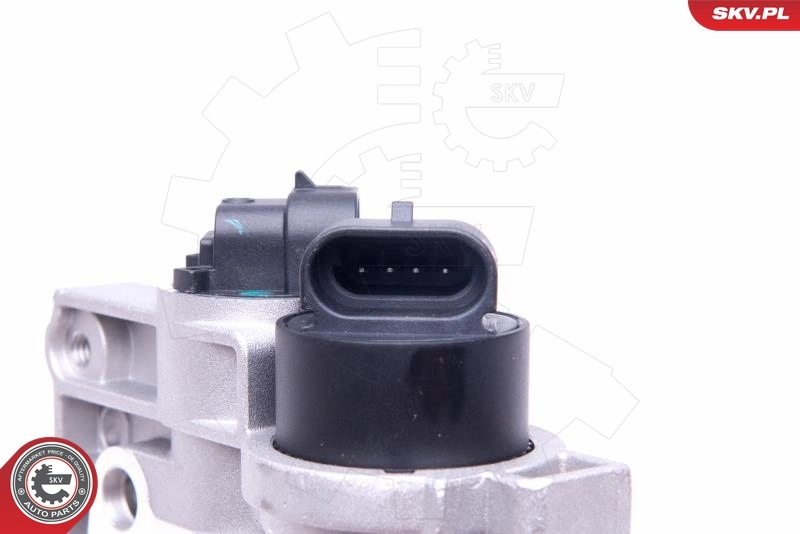 Throttle Body 12SKV081