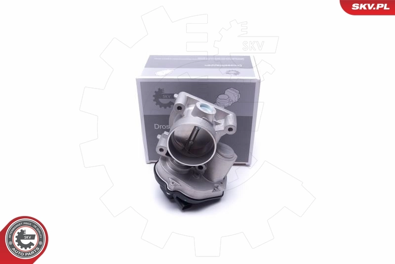 Throttle Body 12SKV104