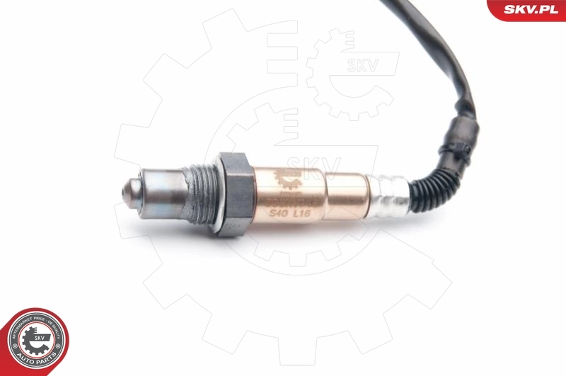 Oxygen Sensor 09SKV748