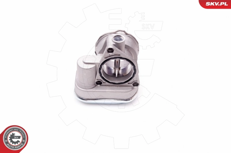 Throttle Body 12SKV055