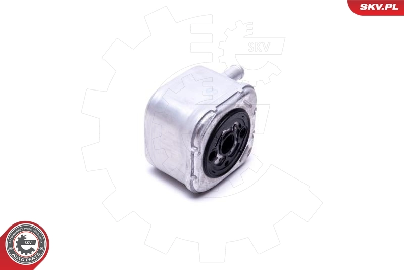 Oil Cooler, engine oil 31SKV205