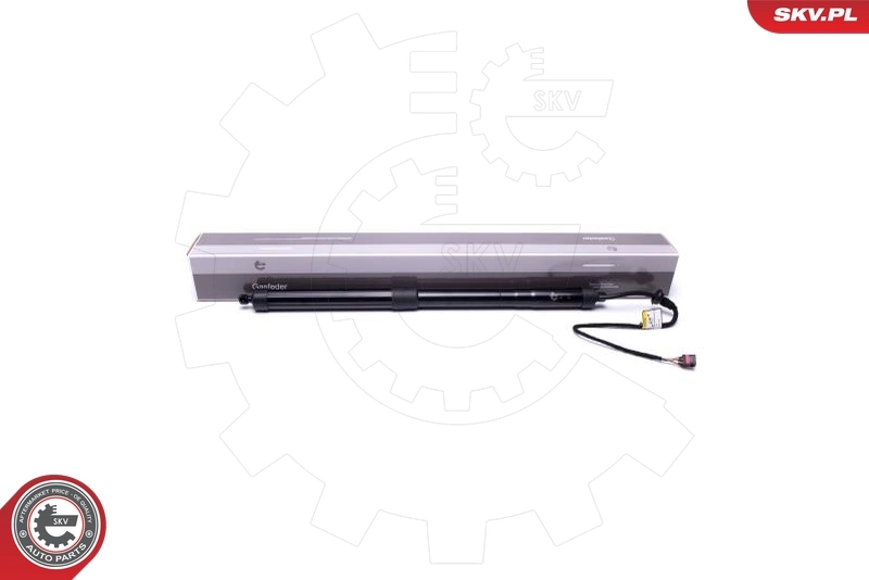 Electric Motor, tailgate 52SKV902