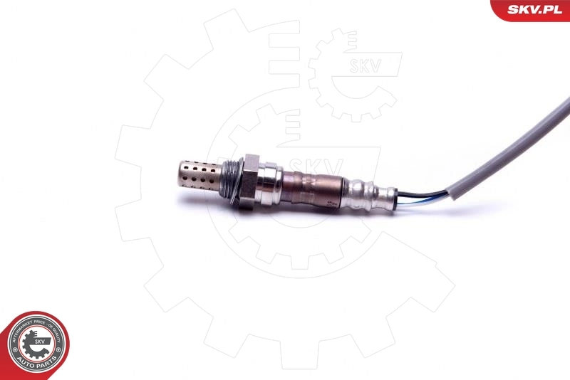 Oxygen Sensor 09SKV439