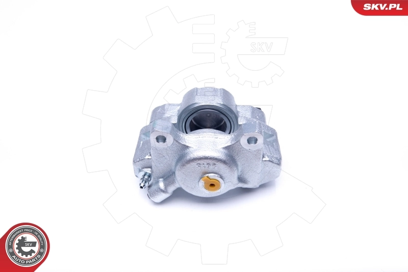 Brake Caliper 45SKV282