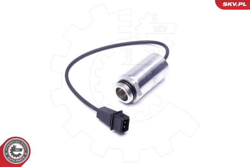 Control Valve, camshaft adjustment 39SKV048