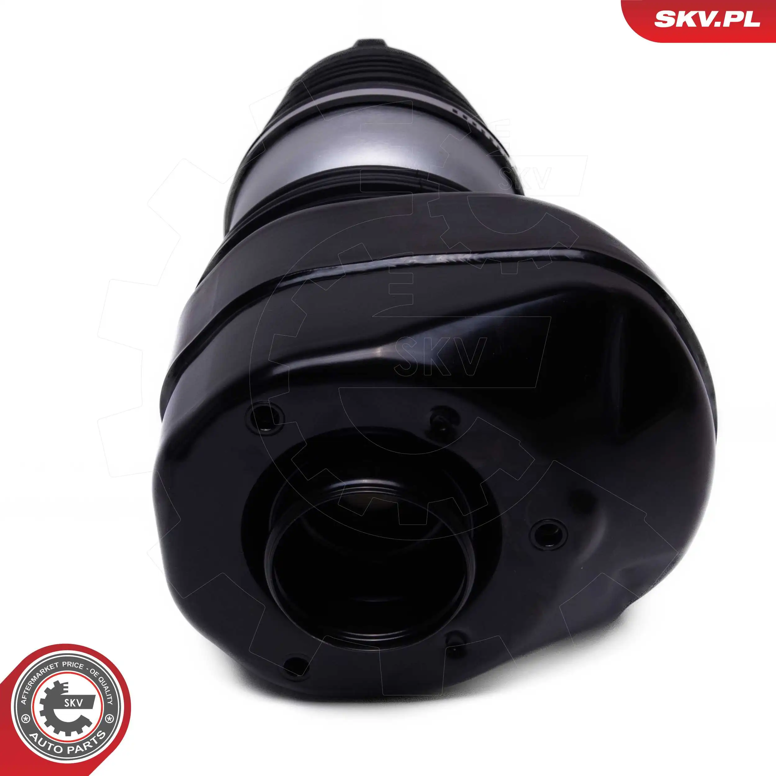 Air Suspension Strut 58SKV081