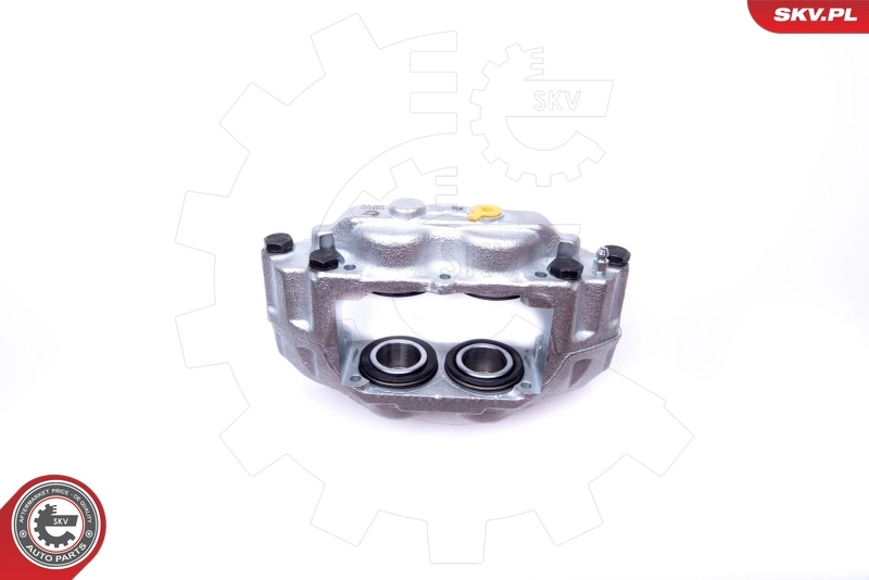Brake Caliper 42SKV172