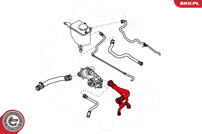 Radiator Hose 43SKV701