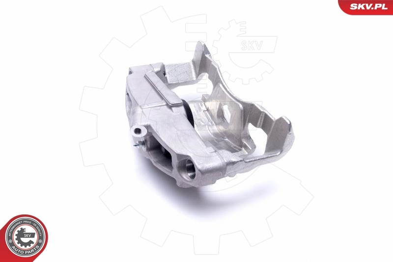 Brake Caliper 55SKV781