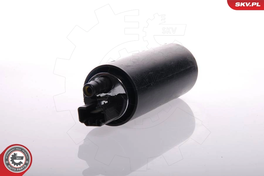 Fuel Pump 02SKV271