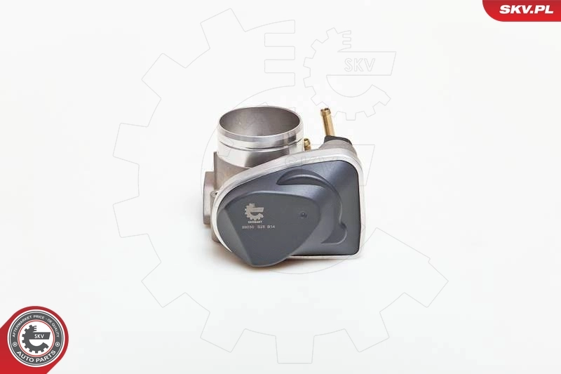 Throttle Body 12SKV027