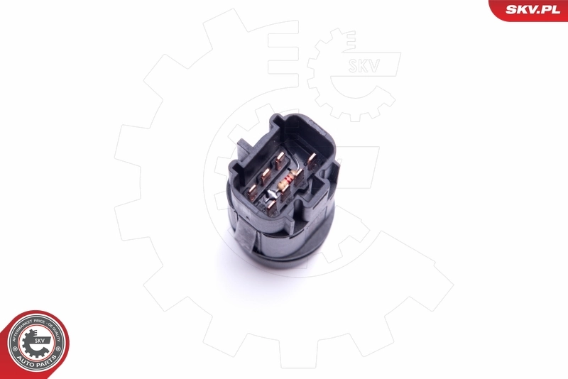 Hazard Warning Light Switch 36SKV718
